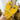 Summer Beach Pineapple Flat Slippers Outside Slides Ladies Shoes